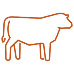 Beef Cattle icon