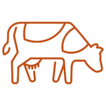 Dairy Cow icon