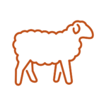 Sheep icon