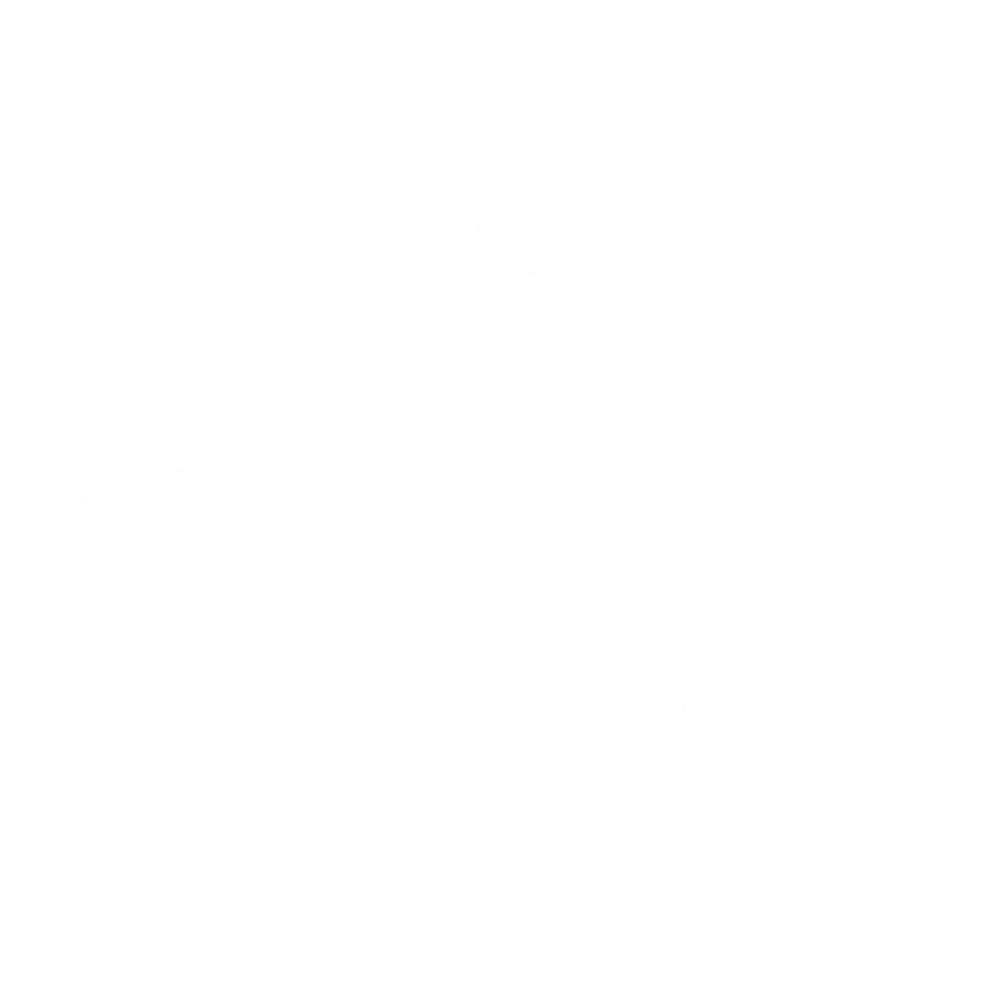 Megaphone icon