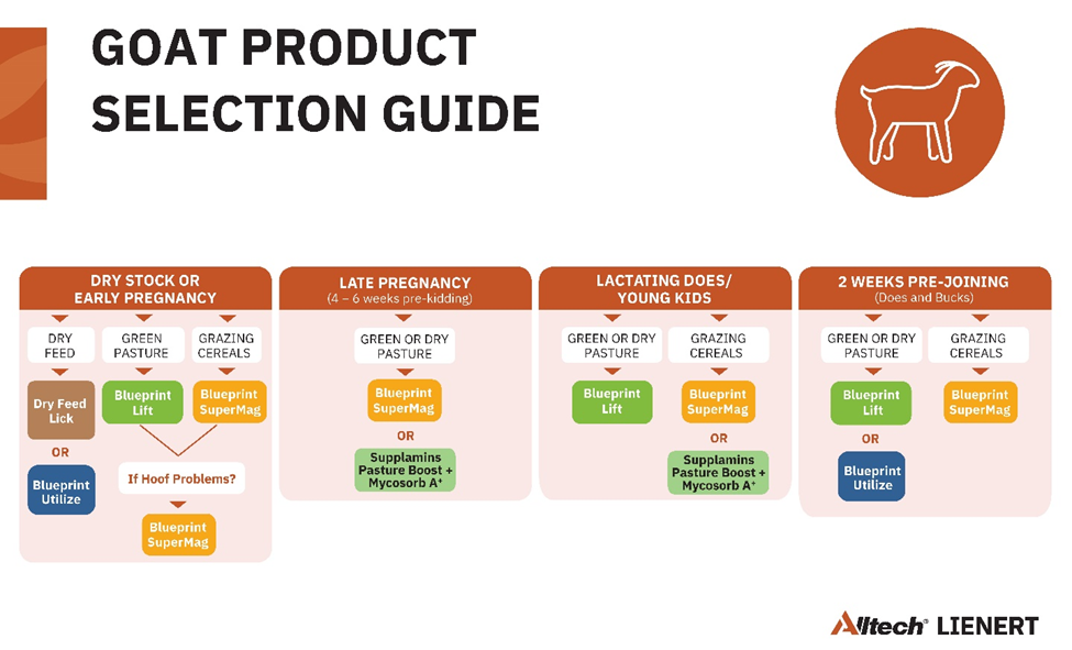 Goat Product Selection Guide for Alltech Lienert