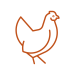 Chicken icon